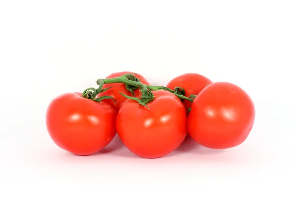 Červená rajčata — Stock fotografie