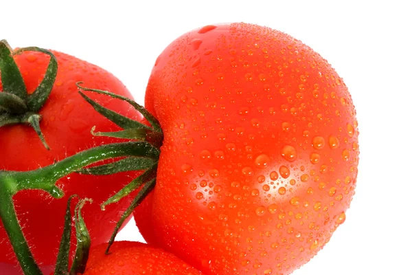 Damla taze domates — Stok fotoğraf