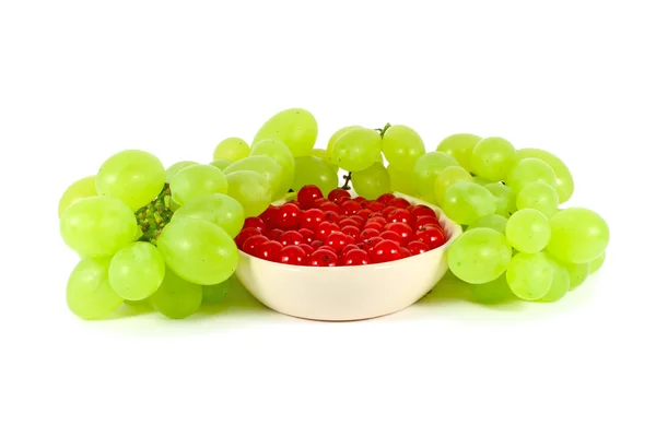 Winogron i Czerwona porzeczka — Zdjęcie stockowe