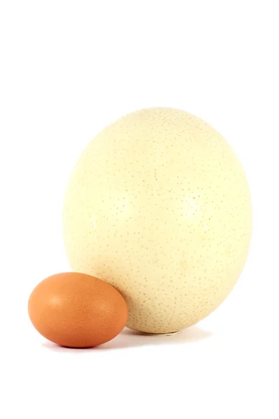 Курка і страусині яйця — стокове фото
