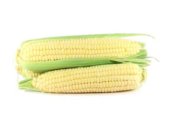Kukuřičný klas kukuřice — Stock fotografie