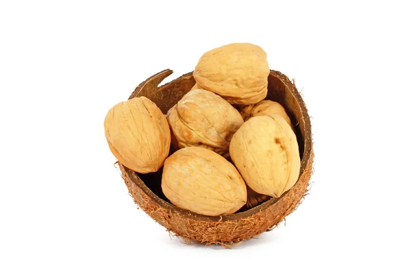 Орехи в кокосовой скорлупе — стоковое фото