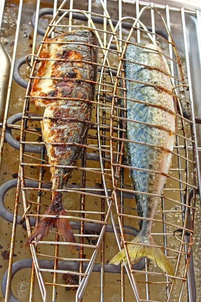 Рыба на гриле — стоковое фото
