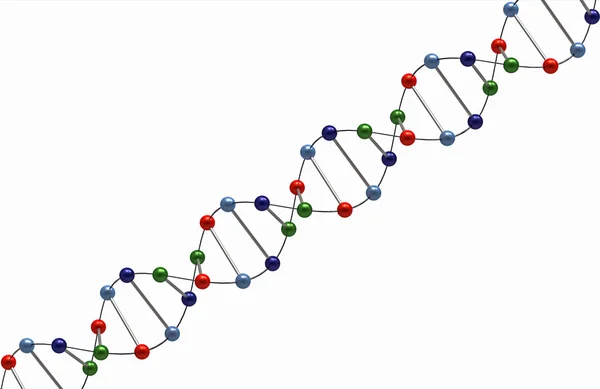ДНК візуалізації — стокове фото