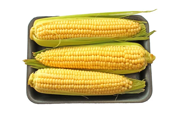 Mazorca de maíz maíz dulce —  Fotos de Stock