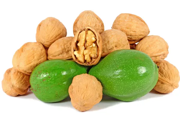Ripe and unripe walnuts — Stock Photo, Image
