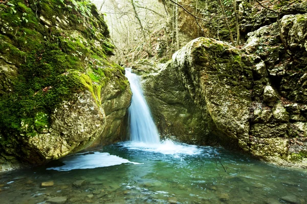 stock image Waterfall in forest