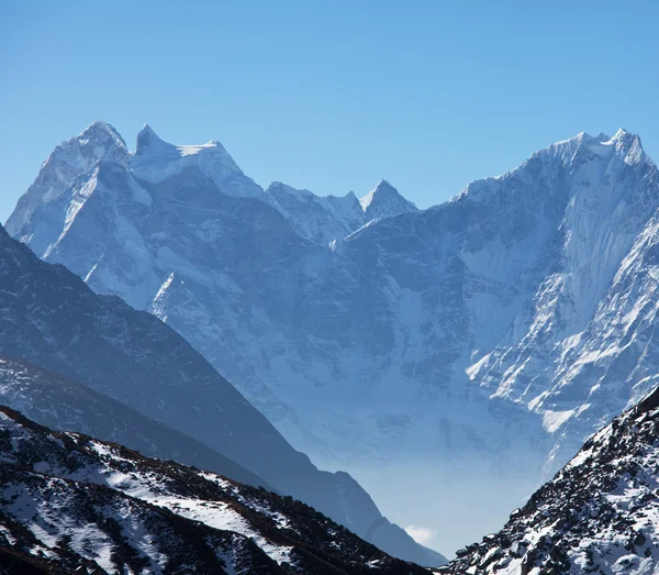 Himalayan — Stockfoto