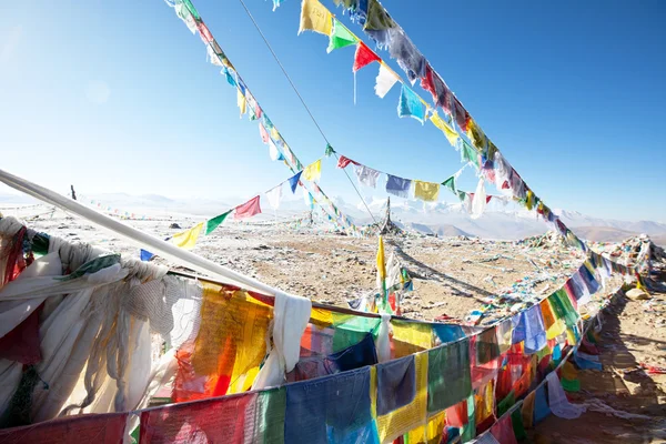 チベット — ストック写真