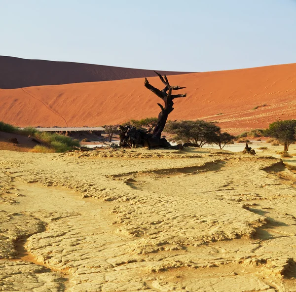 Totes Tal in Namibia — Stockfoto