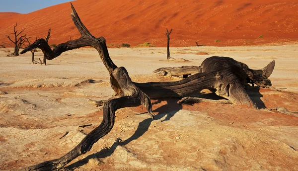 Mrtvé údolí v Namibii — Stock fotografie