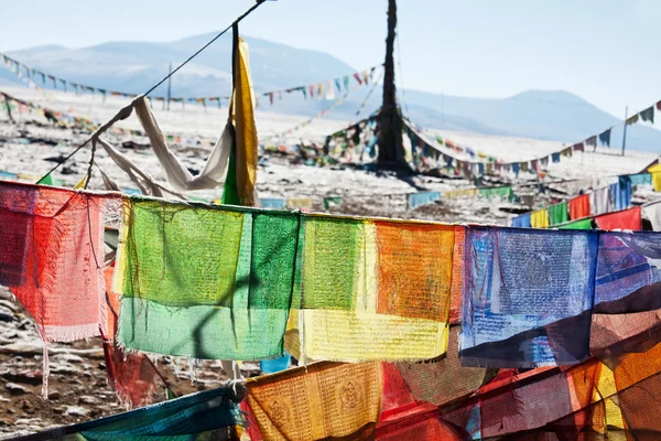 Tibet — Stockfoto