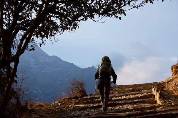 stock image Hiking