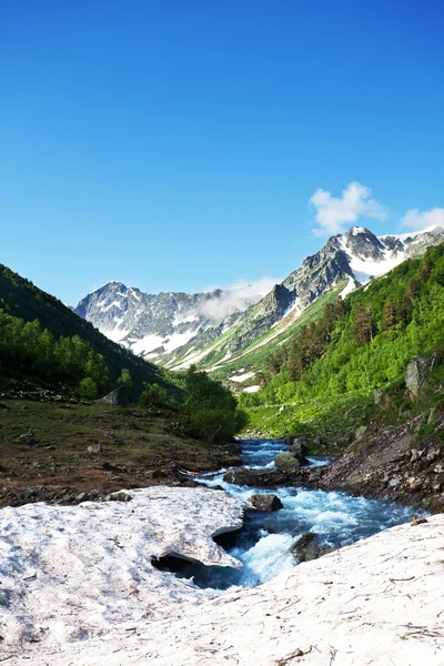 Creek in mountains — Stock Photo, Image