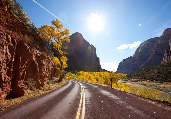 Autumn in the Zion — Stock Photo, Image