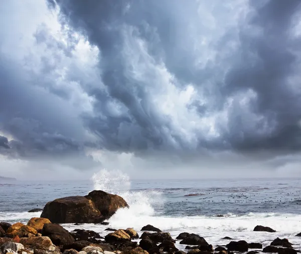 Sea coast in storm — Stock Photo, Image