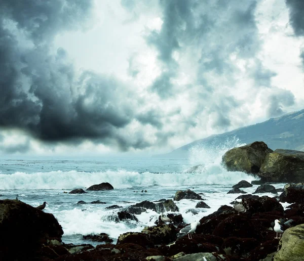 stock image Sea in storm