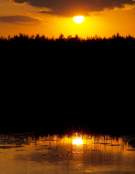 Λίμνη στο ηλιοβασίλεμα — Φωτογραφία Αρχείου