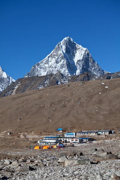 Himalayan — Zdjęcie stockowe