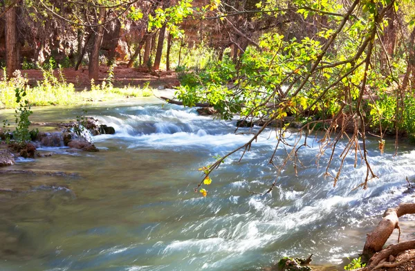 stock image River