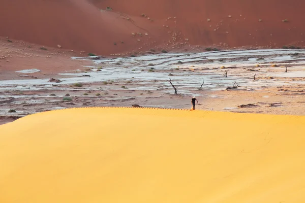 사막에서 하이킹 — 스톡 사진