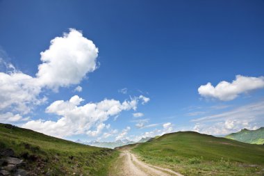 yol alanında