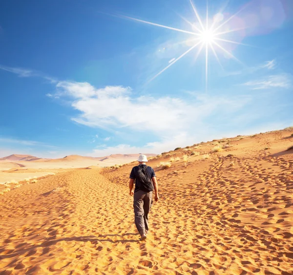 Putování v poušti — Stock fotografie