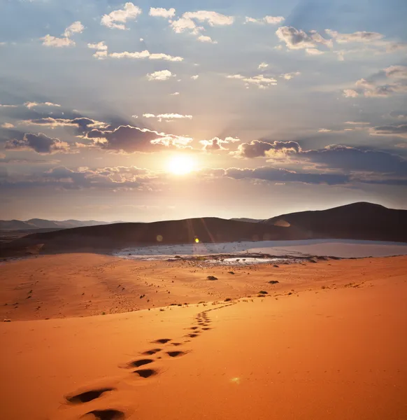 Пустеля на заході сонця — стокове фото
