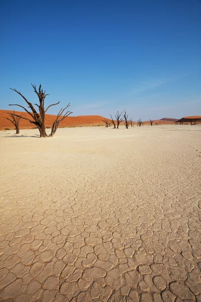 Dead valley — Stock Photo, Image