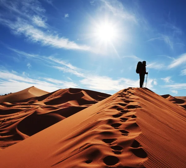 沙沙漠 — 图库照片