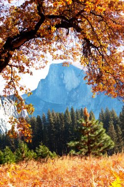 Autumn in Yosemite clipart