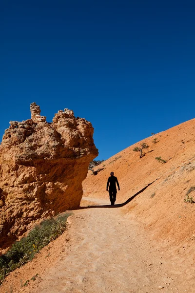 Hike in Bryce canyon — Stock Photo, Image
