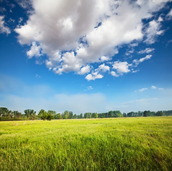 牧草地 — ストック写真