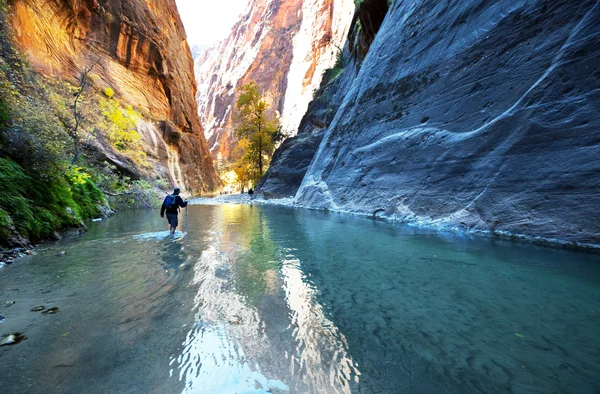 Vandra i canyon — Stockfoto