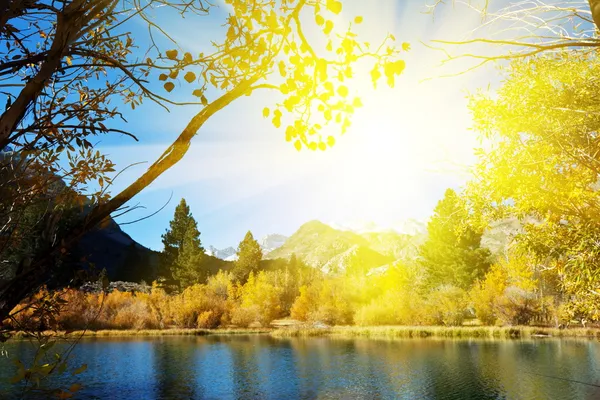 Осеннее озеро в сумерках — стоковое фото