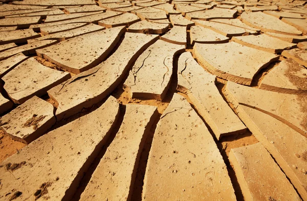 Drought land — Stock Photo, Image