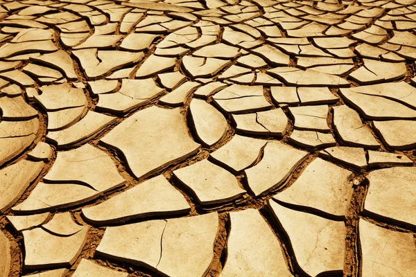 Terre siccitose — Foto Stock