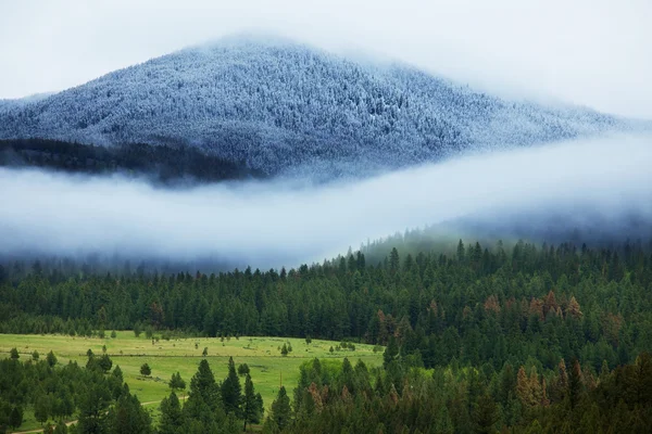 Fog in mountains — Stock Photo, Image