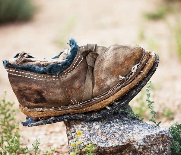 Старый ботинок — стоковое фото