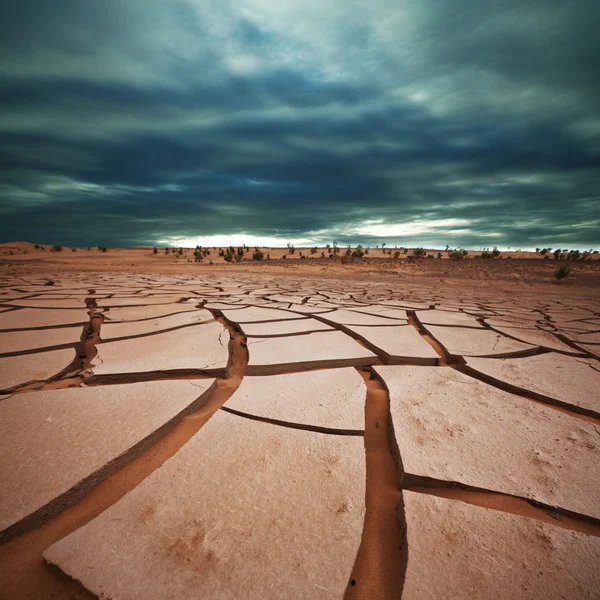 Terreno seco em Gobi — Fotografia de Stock