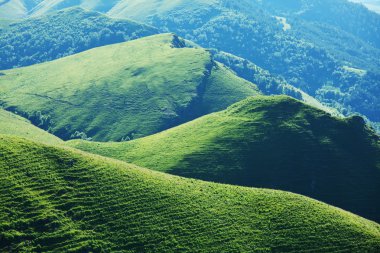yeşil tepeler