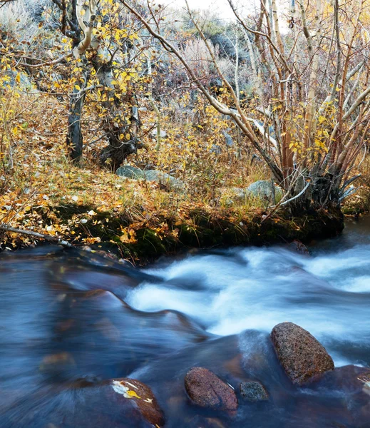 Φθινόπωρο creek — Φωτογραφία Αρχείου