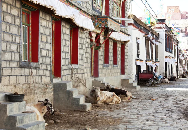 Тибетская улица — стоковое фото