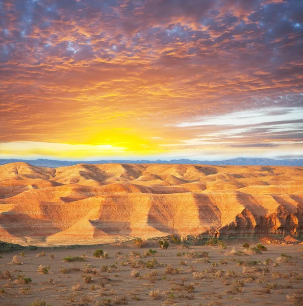 고비 사막 — 스톡 사진