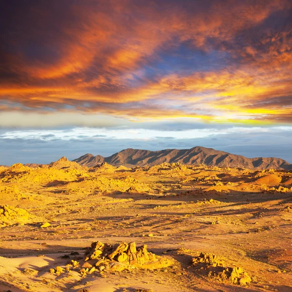 ゴビ砂漠 — ストック写真