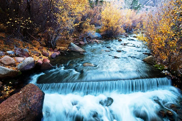 Sonbahar creek — Stok fotoğraf