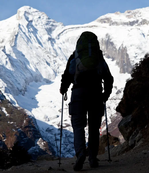 Прогулка в Гималаях — стоковое фото