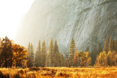 yosemite sonbahar