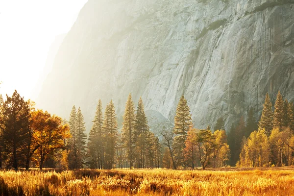 Otoño en Yosemite —  Fotos de Stock