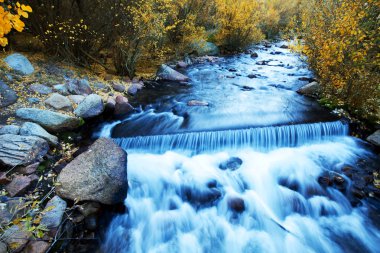 sonbahar creek